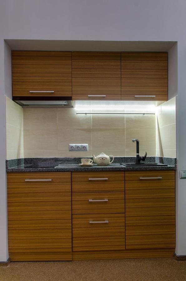 Pushkinskaya Apartments Kharkiv Exterior photo